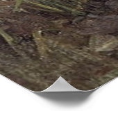 PaNDoRA, von John William Waterhouse, 1896 Poster (Ecke)