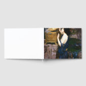 Pandora's Box - John William Waterhouse Gästebuch (Voll)