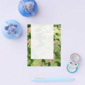 Panel 0108 - Sedum "Freude im Herbst" Flyer (Einzeln)