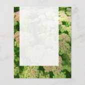 Panel 0108 - Sedum "Freude im Herbst" Flyer (Vorne)