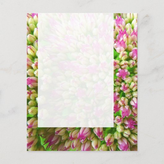 Panel 0110 - Sedum "Freude im Herbst" (B&W) Flyer (Vorne)