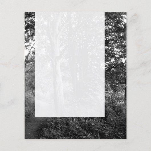 Panel 013 - Im Wald Flyer (Hinten)