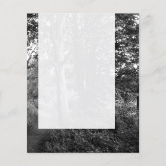 Panel 013 - Im Wald Flyer