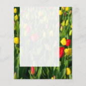 Panel 021 - Tulips Flyer (Hinten)