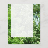 Panel 024 - Sommerfrische Flyer (Vorne)