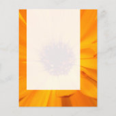Panel 026 - Orange Tagetes Flyer (Hinten)