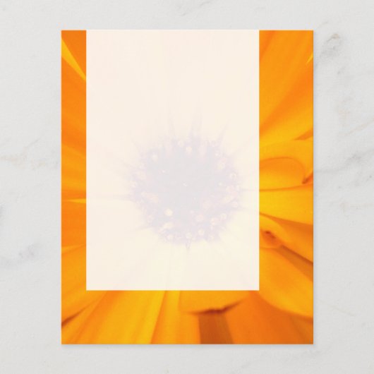 Panel 026 - Orange Tagetes Flyer (Vorne)