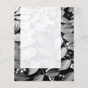 Panel 037 - Blätter Flyer