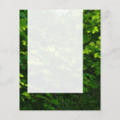 Panel 039 - Sommerliche Blätter Flyer (Hinten)