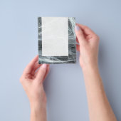 Panel 079 - Eisflame Flyer (Gruppe)