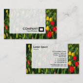 Panel - Tulips Visitenkarte (Vorne/Hinten)