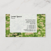 Panel - Zusammenfassung (Herbstfreude) Visitenkarte (Rückseite)