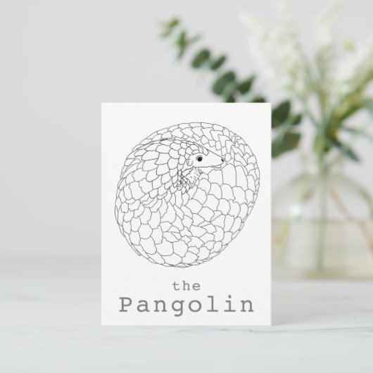 Pangolin aufgerollt, einfach zeichnend postkarte (Stehend Vorderseite)