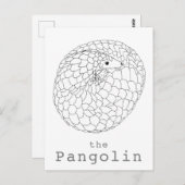 Pangolin aufgerollt, einfach zeichnend postkarte (Vorne/Hinten)