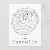 Pangolin aufgerollt, einfach zeichnend postkarte (Vorderseite)