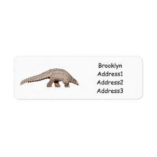Pangolin cartoon illustration