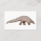 Pangolin-Cartoon Visitenkarte (Rückseite)