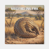 Pangolin im Kruger-Nationalpark Südafrika Magnet (Vorne)