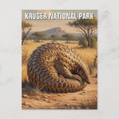 Pangolin im Kruger-Nationalpark Südafrika Postkarte (Vorderseite)