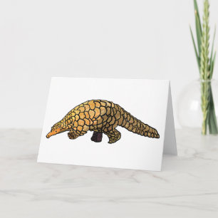 Pangolin Karte