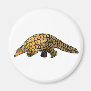 Pangolin Magnet