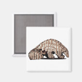 PANGOLIN-only Magnet (Vorderseite/Rückseite)