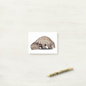 PANGOLIN-only Post-it Klebezettel (Auf Schreibtisch)