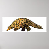 Pangolin Poster (Vorne)