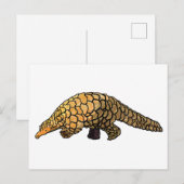 Pangolin Postkarte (Vorne/Hinten)