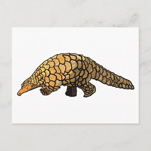 Pangolin Postkarte (Vorderseite)