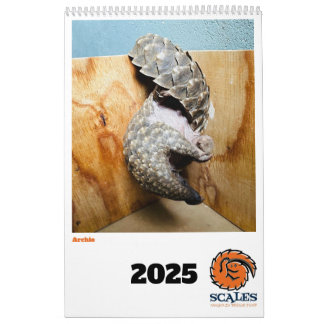Pangolin Rescue Fund Calendar 2025 Kalender