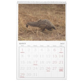 Pangolin Rescue Fund Calendar 2026 Kalender (Mär 2027)