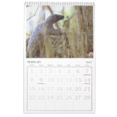 Pangolin Rescue Fund Calendar 2026 Kalender (Feb 2027)