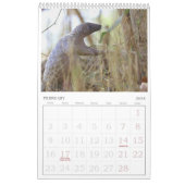 Pangolin Rescue Fund Calendar 2026 Kalender (Feb 2026)