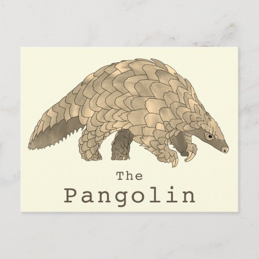 Pangolin Wildtiere gefährdete Arten Tierart Art Postkarte (Vorderseite)