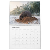 Pangolins 2027 Wandkalender (Jan 2027)