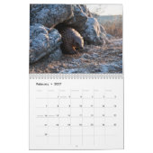 Pangolins 2027 Wandkalender (Feb 2027)