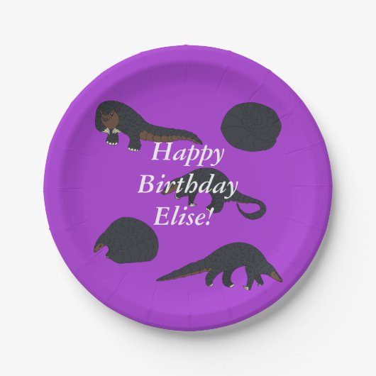 Pangolins Birthday Pappteller (Vorderseite)