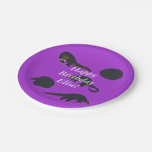 Pangolins Birthday Pappteller (Schrägansicht)