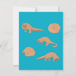 Pangolins Postkarte