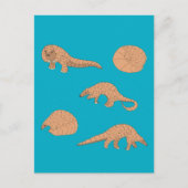 Pangolins Postkarte (Vorderseite)