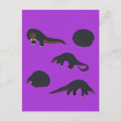 Pangolins Postkarte (Vorderseite)