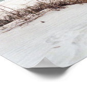 Panhandle Beach Poster (Ecke)