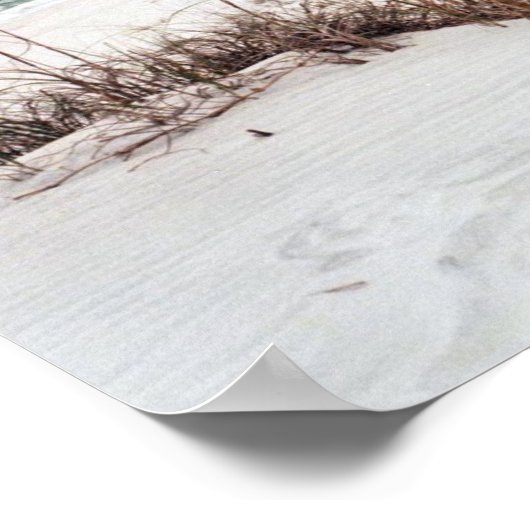 Panhandle Beach Poster (Ecke)