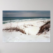 Panhandle Beach Poster (Vorne)