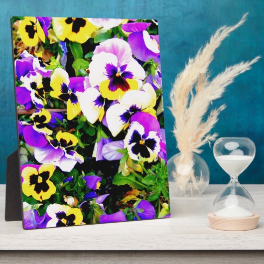 Panik-Blume Fotoplatte (Seite)