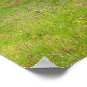 Paniolo House Poster (Ecke)