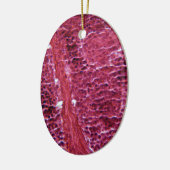 Pankreas-Zellen unter dem Mikroskop Keramikornament (Links)