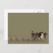 Panopy - Altgriechischer Streitwagen und Pferde Postkarte (Vorne/Hinten)
