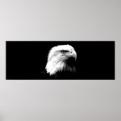 Panorama Bald Eagle American Eagle Poster Print (Vorne)